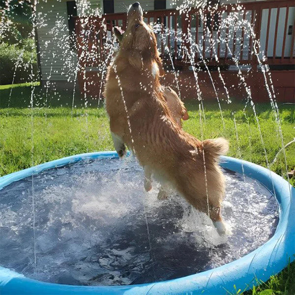 Sprinkler pool