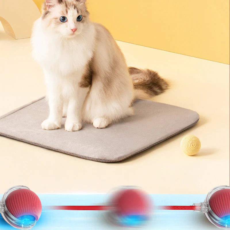 PawPlay interaktiv kattboll