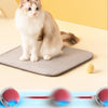 PawPlay interaktiv kattboll