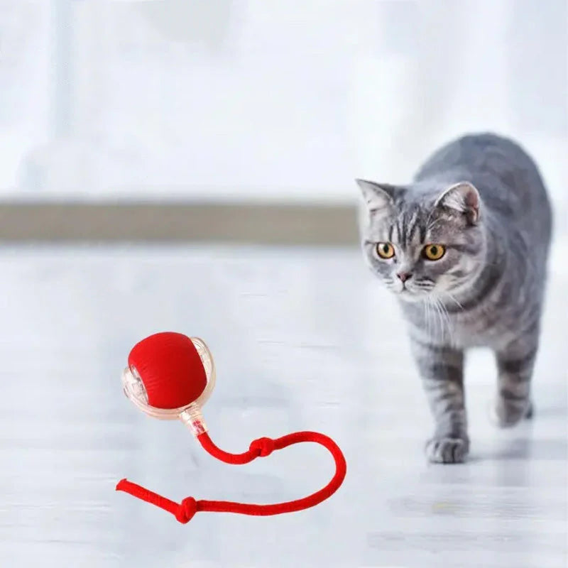 PawPlay interaktiv kattboll