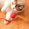 PawPlay interaktiv kattboll