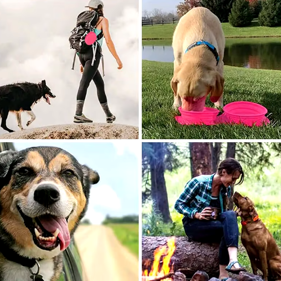 Ihopfällbar hundskål